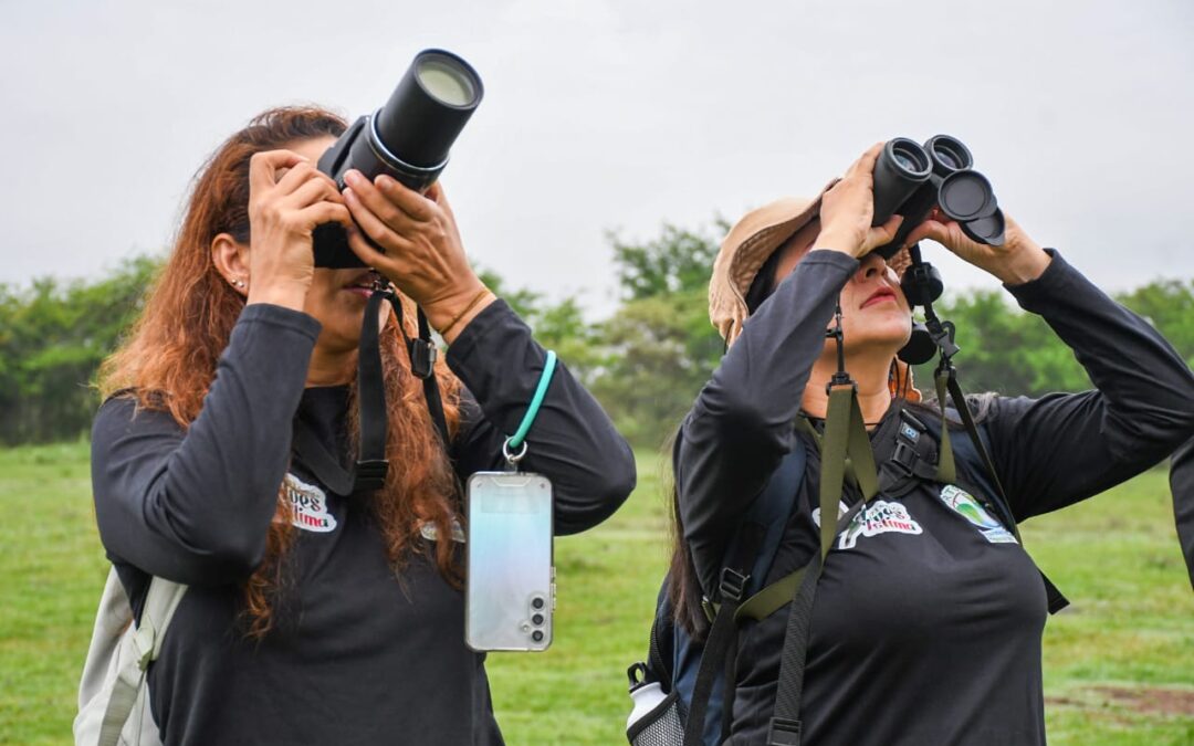 Se cumplieron primeras jornadas de avistamiento durante Festival de Aves del Tolima