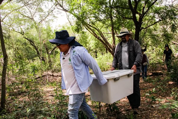 Exitosa liberación de fauna silvestre.