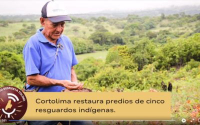 Con el propósito de recuperar ecosistemas degradados y apoyar la economía de cientos de familias, la Corporación Autónoma Regional del Tolima, Cortolima, ha suscrito convenios interadministrativos para desarrollar procesos de restauración ecológica en resguardos indígenas de cuatro municipios.