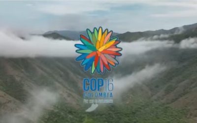 ¡Todas las acciones de #Cortolima son buenas noticias!