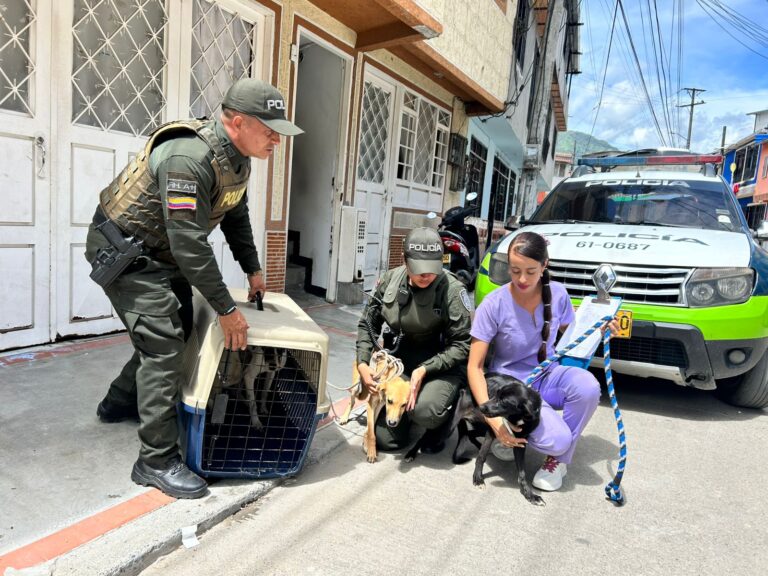 CAPA y Alcaldía de Ibagué rescatan cinco animales en condiciones de maltrato en el barrio Ricaurte