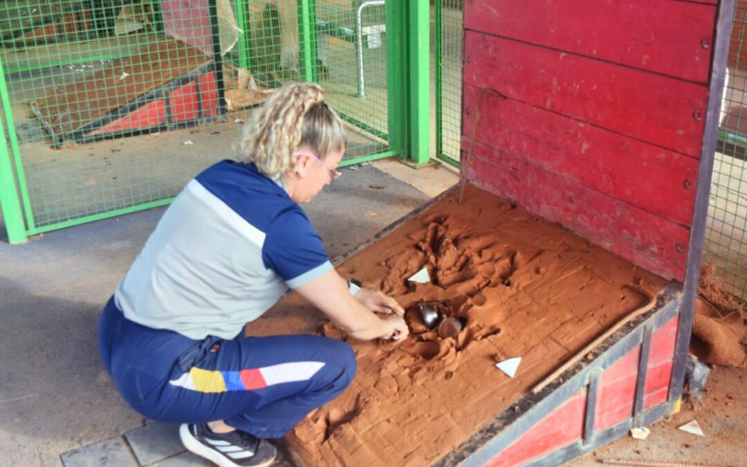 Clubes de Ibagué se coronan campeones de la Copa Federaciones de Tejo
