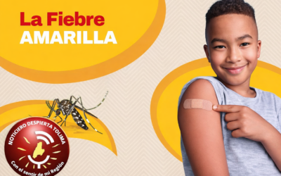 Prevención y vacunación, claves del Tolima para evitar la fiebre amarilla