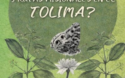 Los caminos de la tierra: el trabajo silencioso que define el futuro rural en el Tolima